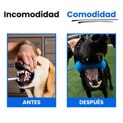 Denvora™ - Abreboca Dental 2 en 1