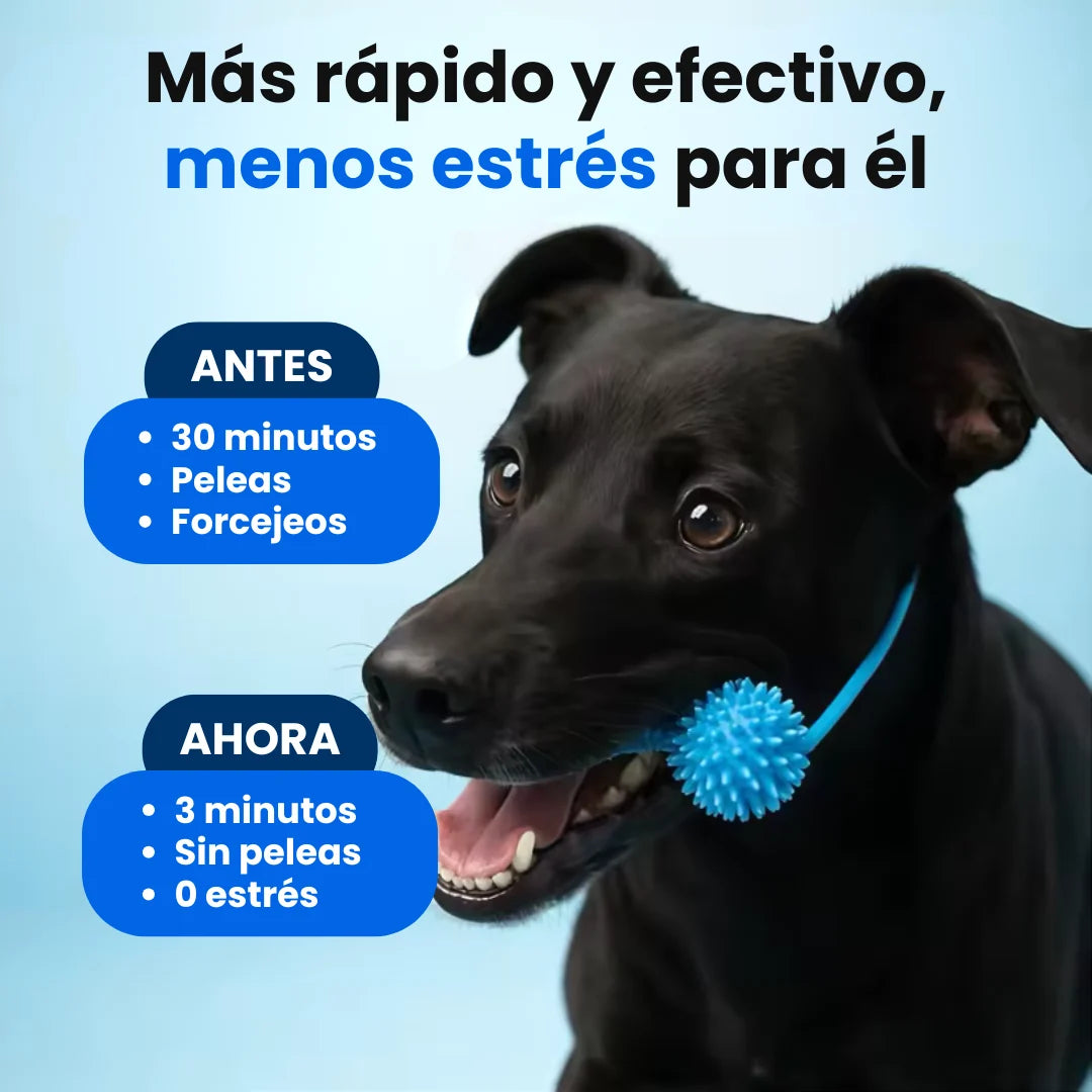 Denvora™ - Abreboca Dental 2 en 1