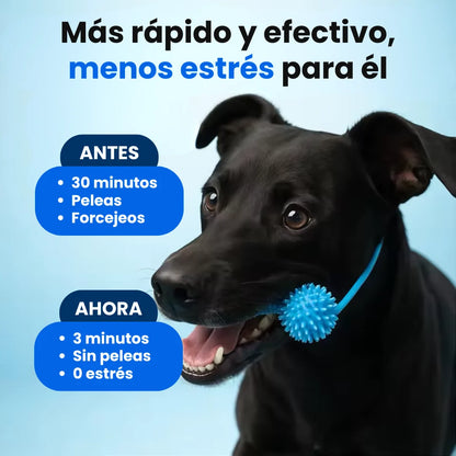 Denvora™ - Abreboca Dental 2 en 1