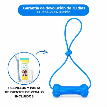 Denvora™ - Mordedor Dental 2 en 1